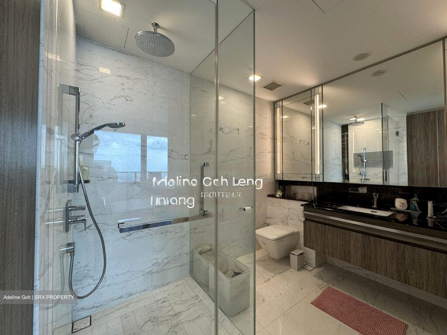 Wallich Street (D2), Condominium #446672151